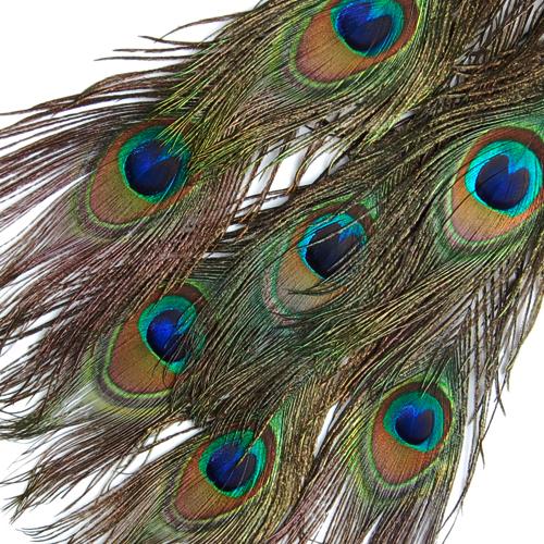 Crofta 10 Pcs Peacock Eye Tail Feathers for Craft Mask Hat 9-13 Inch