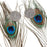 Crofta 10 Pcs Peacock Eye Tail Feathers for Craft Mask Hat 9-13 Inch