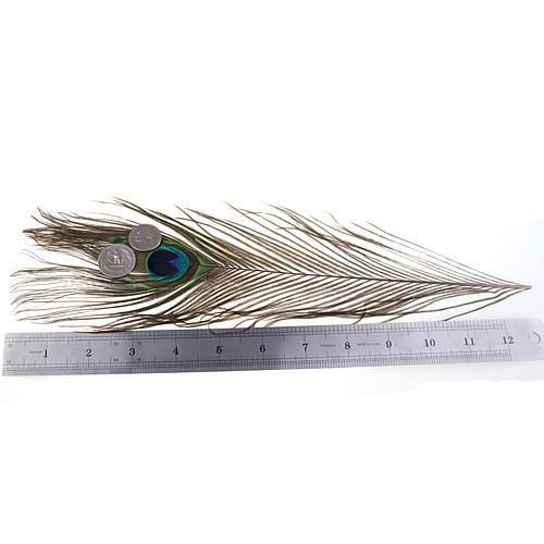 Crofta 10 Pcs Peacock Eye Tail Feathers for Craft Mask Hat 9-13 Inch