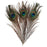 Crofta 10 Pcs Peacock Eye Tail Feathers for Craft Mask Hat 9-13 Inch