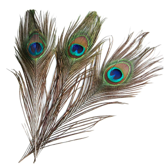 Crofta 10 Pcs Peacock Eye Tail Feathers for Craft Mask Hat 9-13 Inch