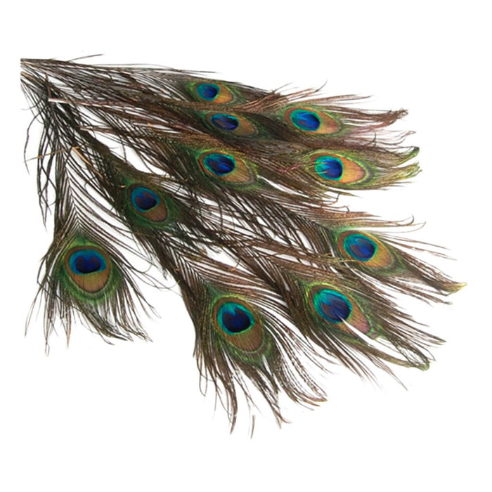 Crofta 10 Pcs Peacock Eye Tail Feathers for Craft Mask Hat 9-13 Inch