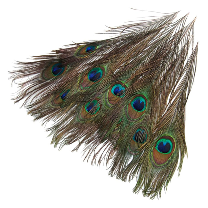 Crofta 10 Pcs Peacock Eye Tail Feathers for Craft Mask Hat 9-13 Inch