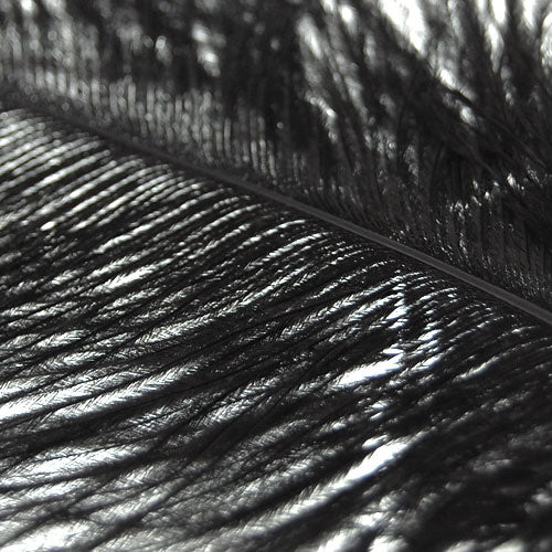 Crofta 10pcs Black Ostrich Feathers for Craft Mask Hat 5.5 Inch