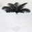 Crofta 10pcs Black Ostrich Feathers for Craft Mask Hat 5.5 Inch