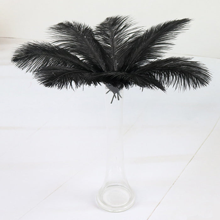 Crofta 10pcs Black Ostrich Feathers for Craft Mask Hat 5.5 Inch