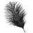 Crofta 10pcs Black Ostrich Feathers for Craft Mask Hat 5.5 Inch