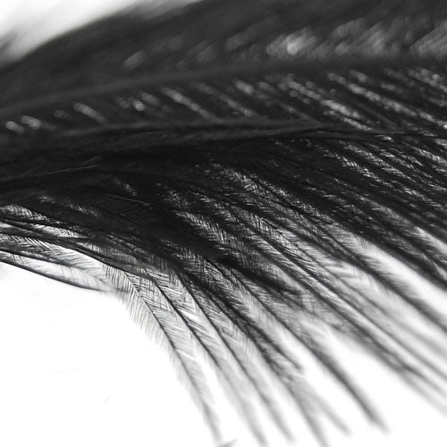 Crofta 10pcs Black Ostrich Feathers for Craft Mask Hat 5.5 Inch