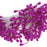 Crofta 170pcs Pearl Double Tip Floral Stamens - Fuchsia