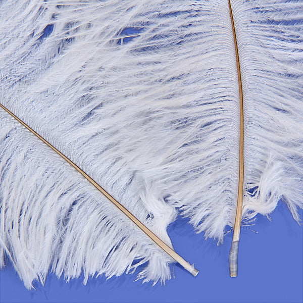 Crofta 10pcs White Ostrich Feathers 6.7-9 Inch