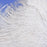 Crofta 10pcs White Ostrich Feathers 6.7-9 Inch