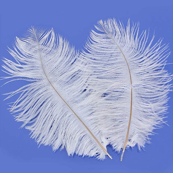 Crofta 10pcs White Ostrich Feathers 6.7-9 Inch