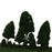 12pcs Poplar Trees Model Dark Green Leaves 2.5-16cm 1:500-1:50