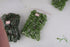 20Pcs Model Abies Holophylla Tress Train Railroad Scenery 1:150 Light Green