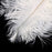 White Crystal Sequins Ostrich Feather Headpiece Vintage Headband Flapper