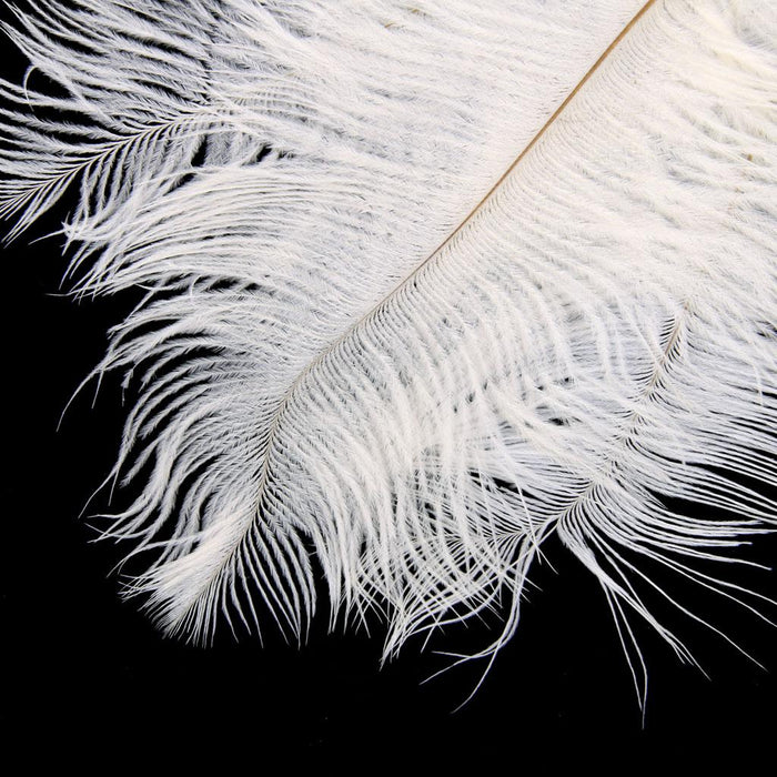 White Crystal Sequins Ostrich Feather Headpiece Vintage Headband Flapper