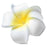 Crofta Women Girls Ladies Plumeria Flower Foam Hair Clip Pin Headwear Hair Accessory White