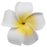 Crofta Women Girls Ladies Plumeria Flower Foam Hair Clip Pin Headwear Hair Accessory White