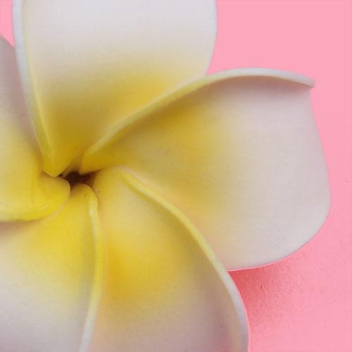 Crofta Women Bridal Wedding Dress Charms Plumeria Foam Flower Hair Clip Brooch Pin Hair Decor Accessories Hair Pin Pack of 2PCS White and Yellow