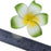 Crofta Women Girls Ladies Plumeria Flower Foam Hair Clip Pin Headwear Hair Accessory Green