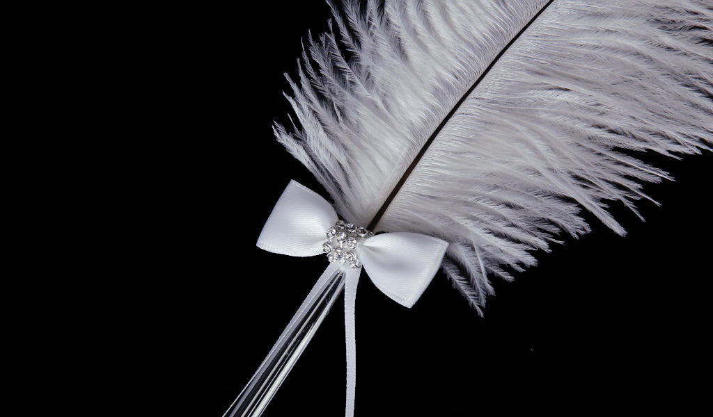 Crofta Wedding Bridal Party White Ostrich Quill Feather Guest Book Signing Pen Bowknot