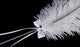 Crofta Wedding Bridal Party White Ostrich Quill Feather Guest Book Signing Pen Bowknot