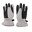 Crofta 1 Pair Winter Warm Breathable 2-4 Years Children Kids Ski Gloves Light Gray