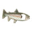 Crofta Rainbow Stainless Steel Trout Fish Bottle Opener Fridge Magnetic Magnet