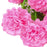 Crofta 1 Piece Artificial Simulation Hydrangea Flower Plant with 9 Flower Balls Decoration - Pink