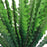 Crofta 1 Bunch Artificial Green Boston Fern Plastic Grass Leaves for Home Decor