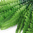 Crofta 1 Bunch Artificial Green Boston Fern Plastic Grass Leaves for Home Decor