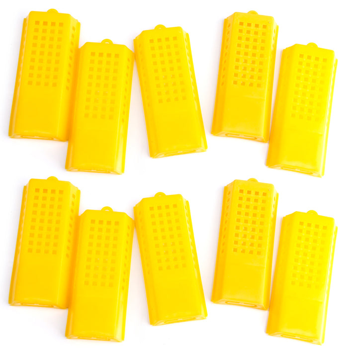 Crofta 10pcs Professional Queen Bee Butler Cage Catcher Beekeeping Tool