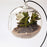 Crofta Set of Ball Glass Hanging Terrarium Flower Vase Pot with 4 Mini Resin Owls