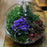 Crofta 10cm Hanging Glass Ball Vase Flower Pot Terrarium Container Decor With Stand