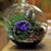 Crofta Transparent Ball Shape Wall Hanging Vase Bottle Plant Flower Decor Home Office Living Room Garden Supplies DIY 4 inch