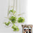 Crofta Transparent Ball Shape Wall Hanging Vase Bottle Plant Flower Decor Home Office Living Room Garden DIY