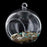 Crofta Transparent Ball Shape Wall Hanging Vase Bottle Plant Flower Decor Home Office Living Room Garden DIY