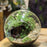 Crofta Transparent Ball Shape Glass Vase Hanging Decor Office Home Living Room Garden Ornament