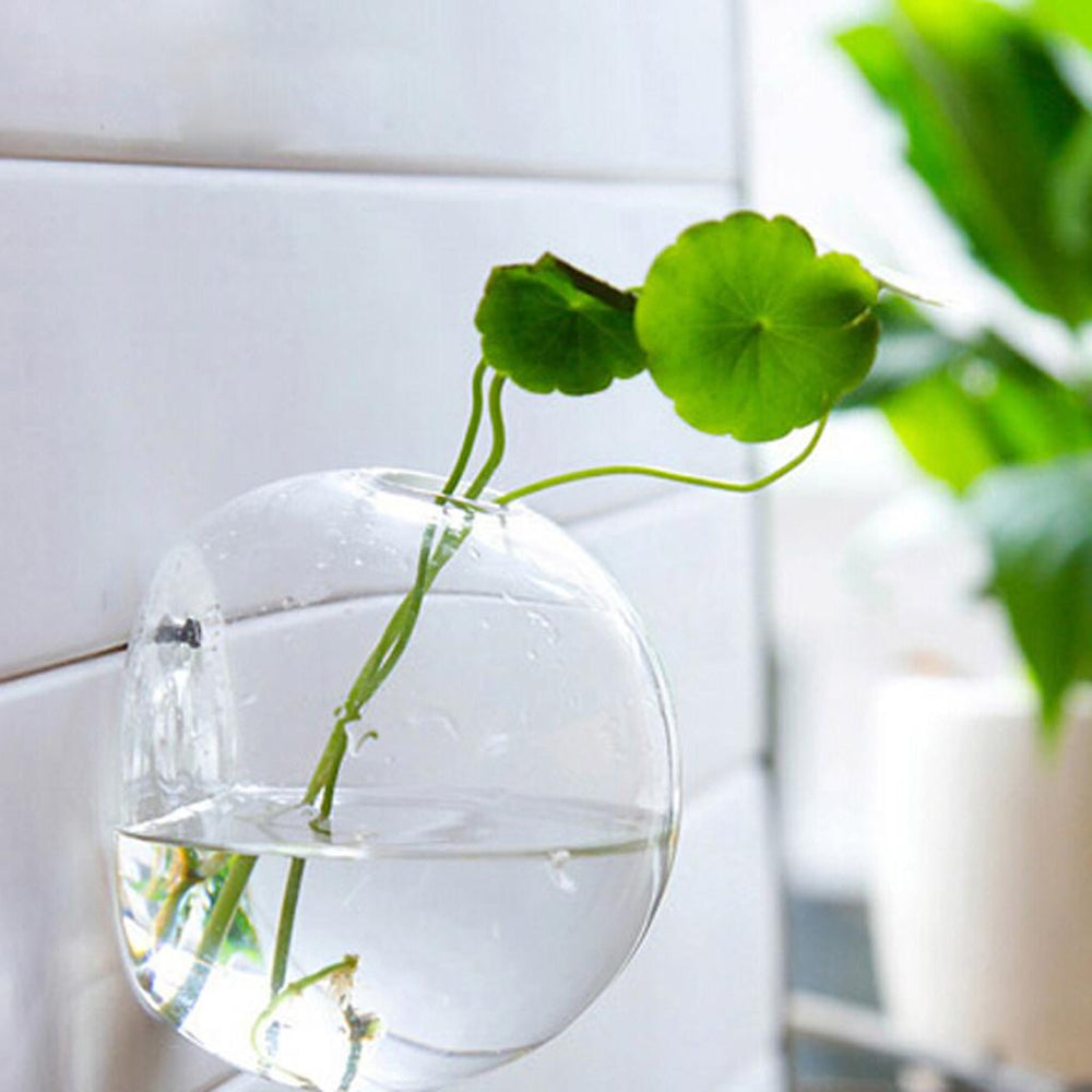 Crofta Transparent Ball Shape Wall Hanging Vase Bottle Plant Flower Decor Home Office Living Room Garden Supplies DIY  4.13 inch