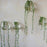 Crofta 10pcs Glass Hanging Plant Hydroponic Flower Vase Fish Pot Wall Container Decor