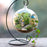 Crofta 10cm Hanging Glass Ball Vase Flower Pot Terrarium Container Decor With Stand