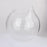 Crofta Clear Ball Shaped Glass Hanging Vase Bottle for Plant Flower Decoration