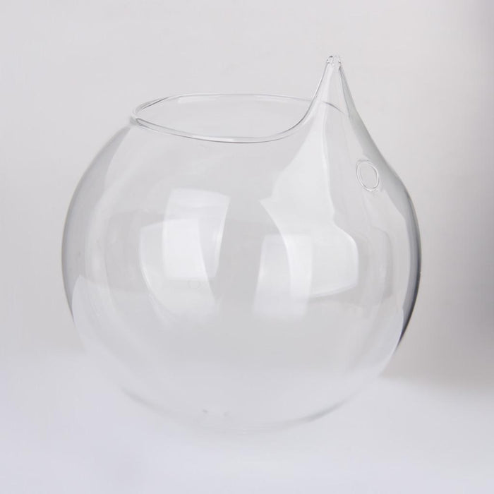 Crofta Clear Ball Shaped Glass Hanging Vase Bottle for Plant Flower Decoration