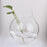 Crofta Clear Ball Shaped Glass Hanging Vase Bottle for Plant Flower Decoration