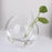 Crofta Clear Ball Shaped Glass Hanging Vase Bottle for Plant Flower Decoration