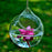 Crofta Clear Ball Shaped Glass Hanging Vase Bottle for Plant Flower Decoration