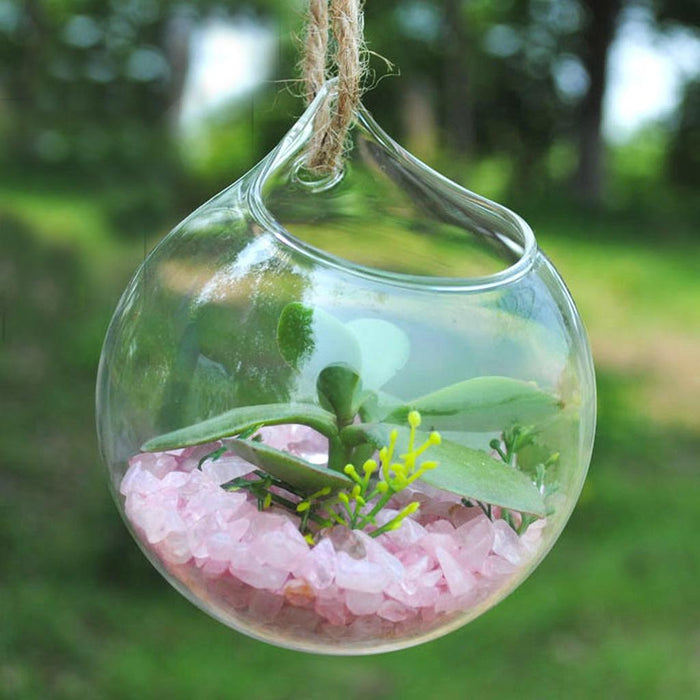 Crofta Clear Ball Shaped Glass Hanging Vase Bottle for Plant Flower Decoration