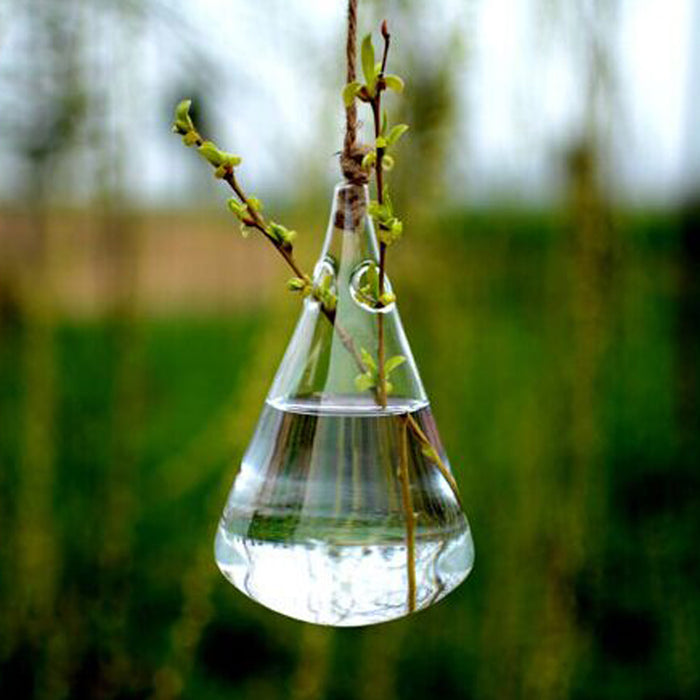 Crofta Clear Water-drop Glass Hanging Vase Bottle for Plant Flower Decorations