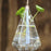 Crofta Clear Water-drop Glass Hanging Vase Bottle for Plant Flower Decorations