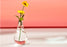 Crofta 2 Pieces Bulb Clear Glass Flower Vase Terrarium Container Hydroponics Plant Pot